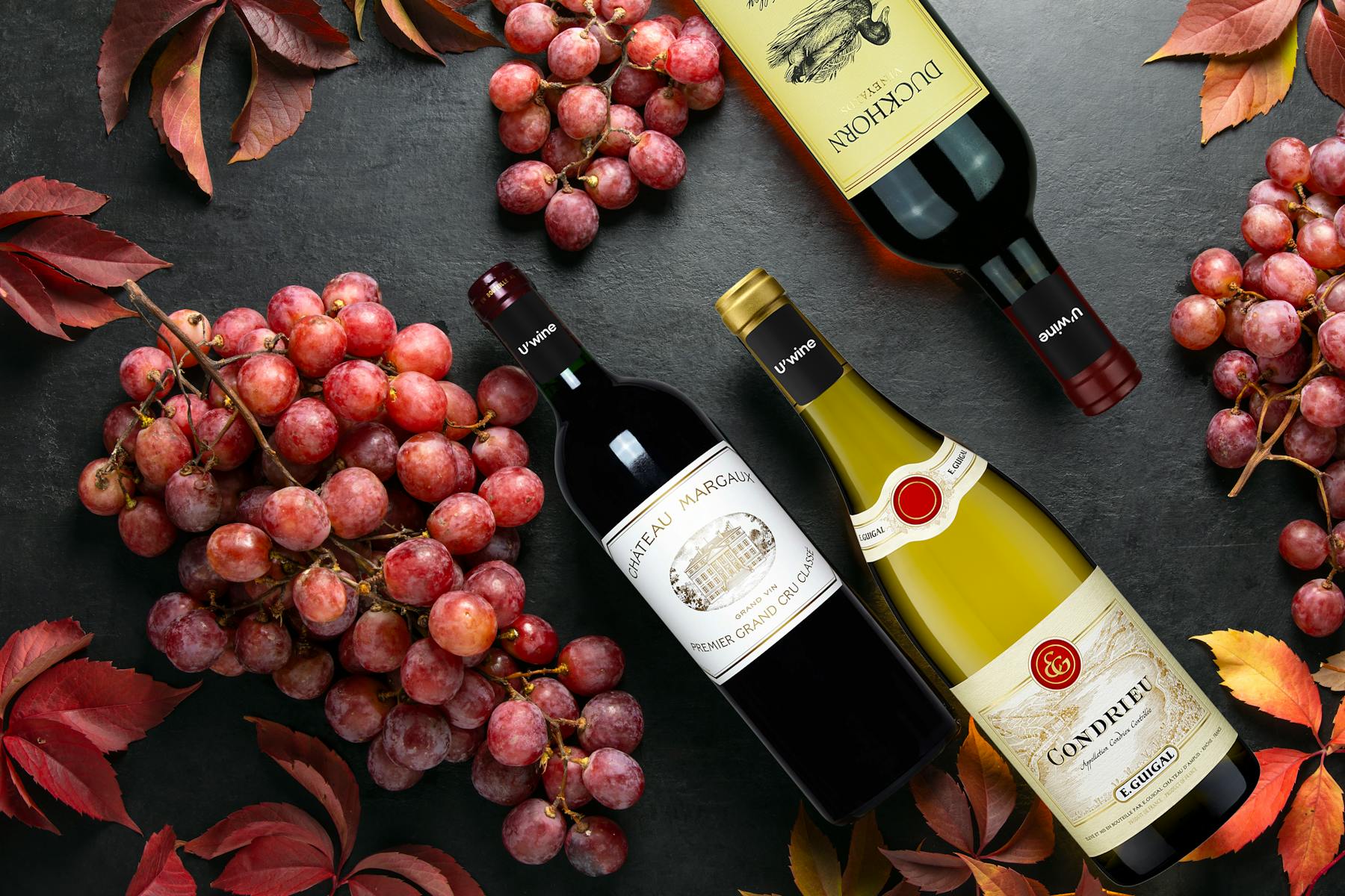 Découvrez les meilleures offres de la foire aux vins : réductions exclusives et promotions immanquables sur une sélection de vins.